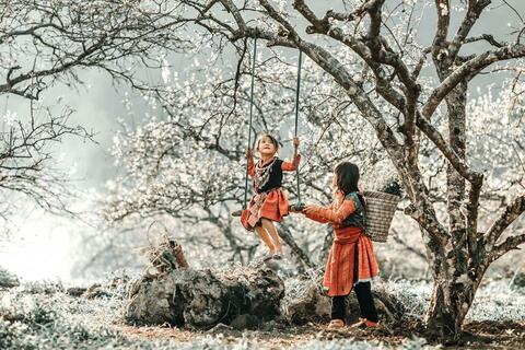 Những con thò lò... sáu mặt