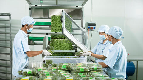 Liêm chính doanh nghiệp trong hoạt động kinh doanh - Kinh nghiệm ở một số quốc gia