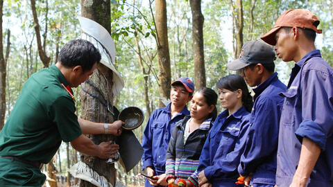 Binh đoàn 15  xây chắc “thế trận lòng dân” trên địa bàn chiến lược Tây Nguyên